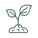 Small batch, chemical free farming for fresh, full botanical potency.