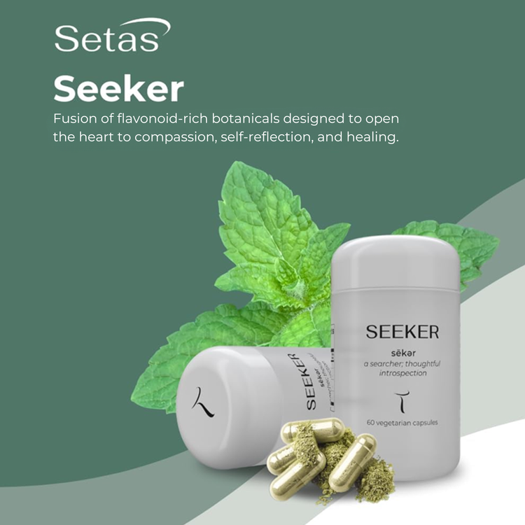 Seeker